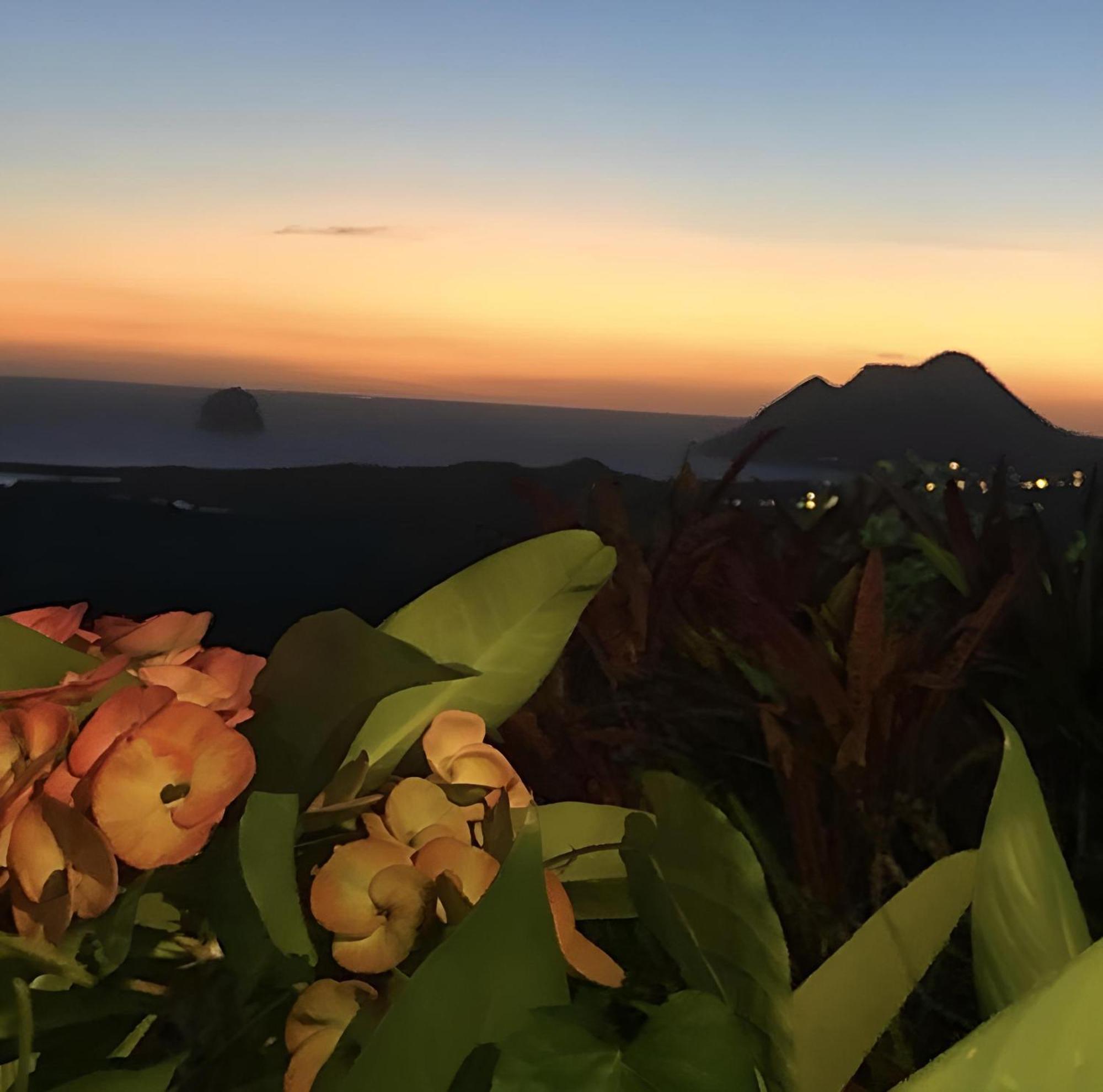 Les Villas Pameyaque 2 F2 Avec 1 Piscine Et 1 F3 Avec 1 Piscine, Superbe Vue Sur La Mer Riviere-Salee المظهر الخارجي الصورة