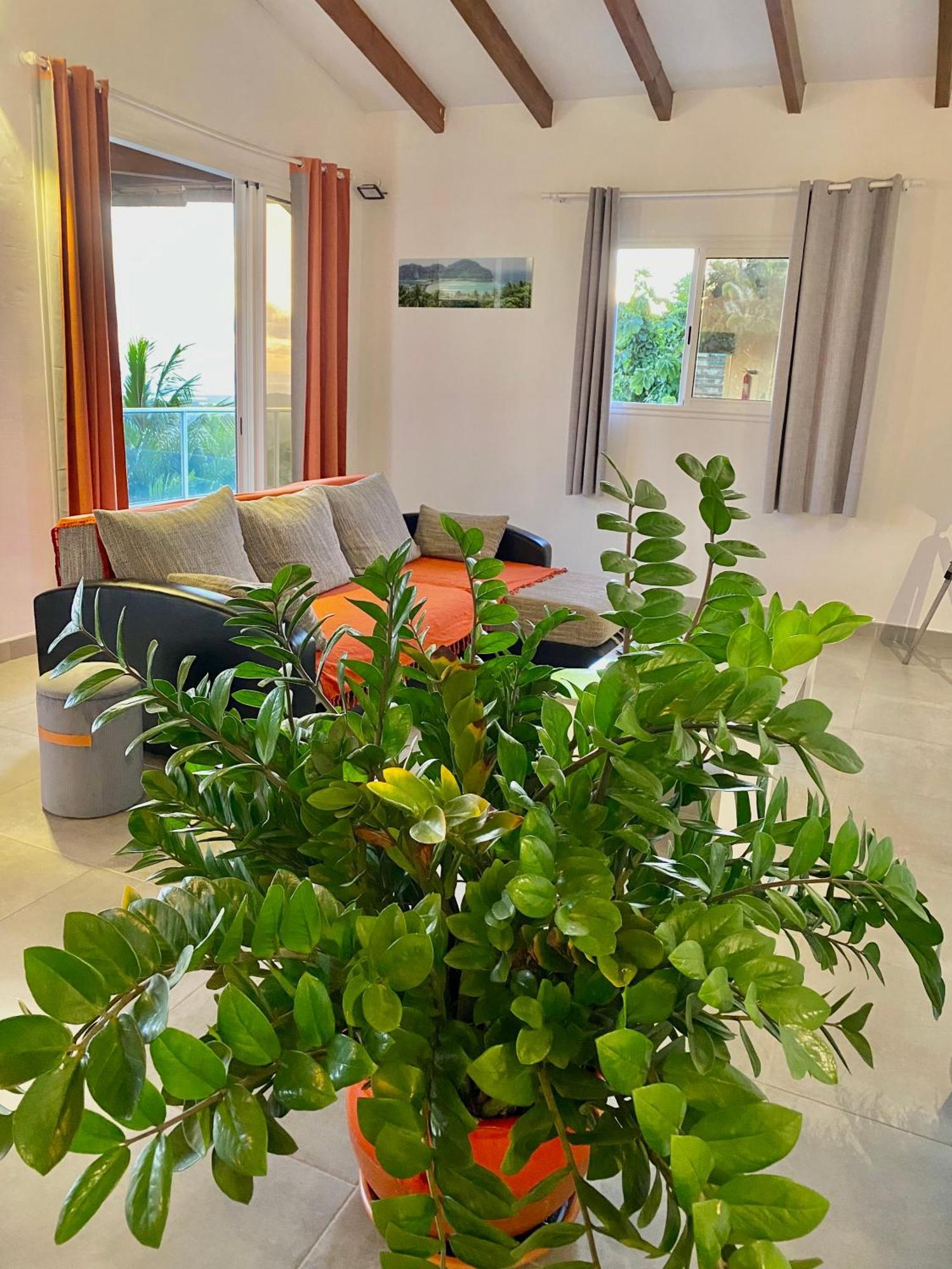 Les Villas Pameyaque 2 F2 Avec 1 Piscine Et 1 F3 Avec 1 Piscine, Superbe Vue Sur La Mer Riviere-Salee المظهر الخارجي الصورة